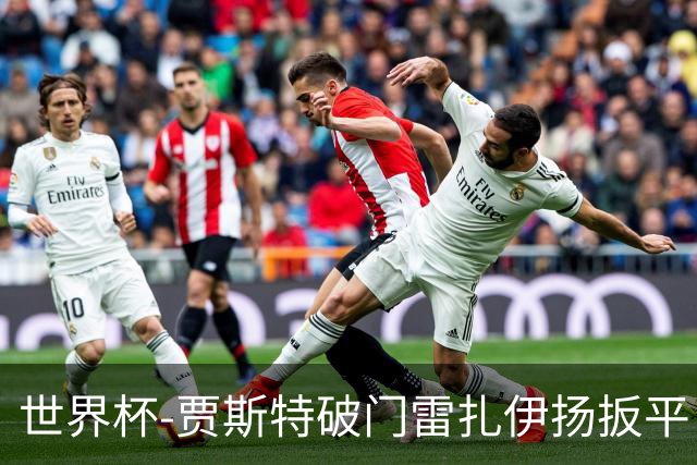 世界杯-贾斯特破门雷扎伊扬扳平 半场伊朗1-1新西兰