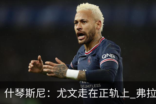 什琴斯尼：尤文走在正轨上 弗拉霍维奇非常出色