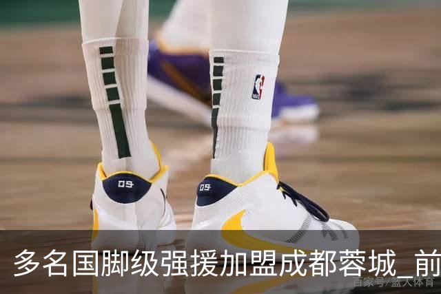 多名国脚级强援加盟成都蓉城 前场还有进人空间